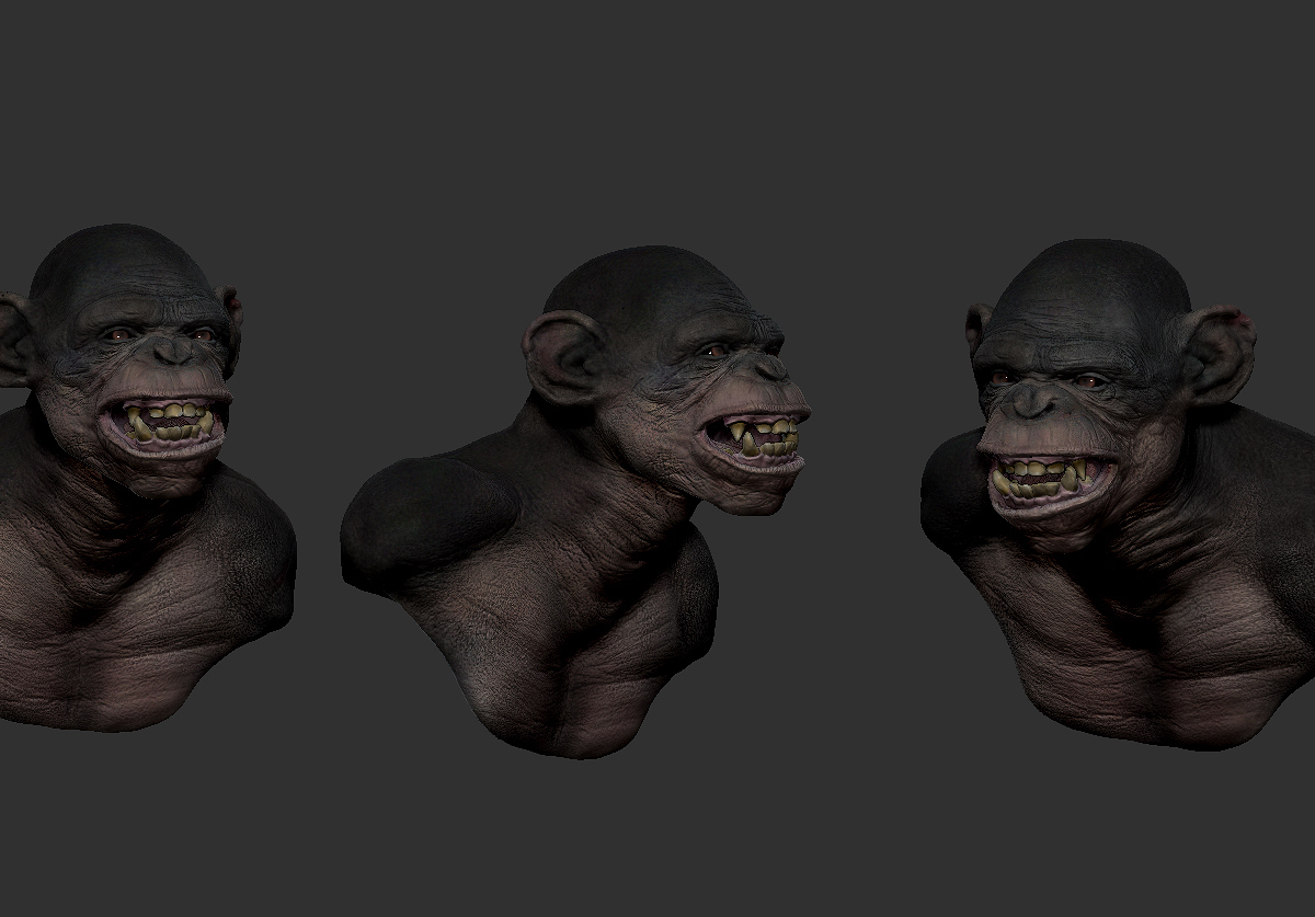 chimp_turn_color.jpg