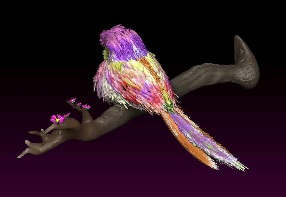 bird render 2