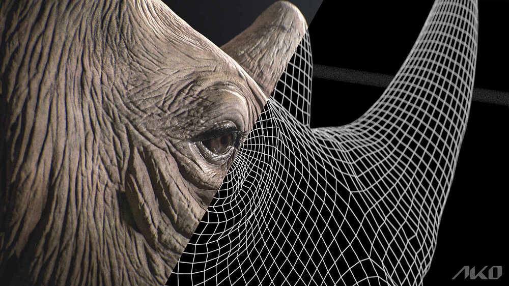 8.Rhino_Shot_02_Wireframe_fn_v001