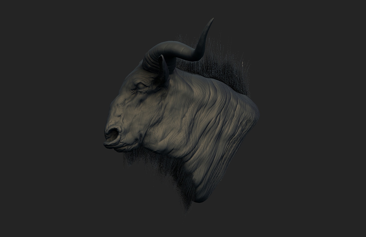 wildebeest_C2