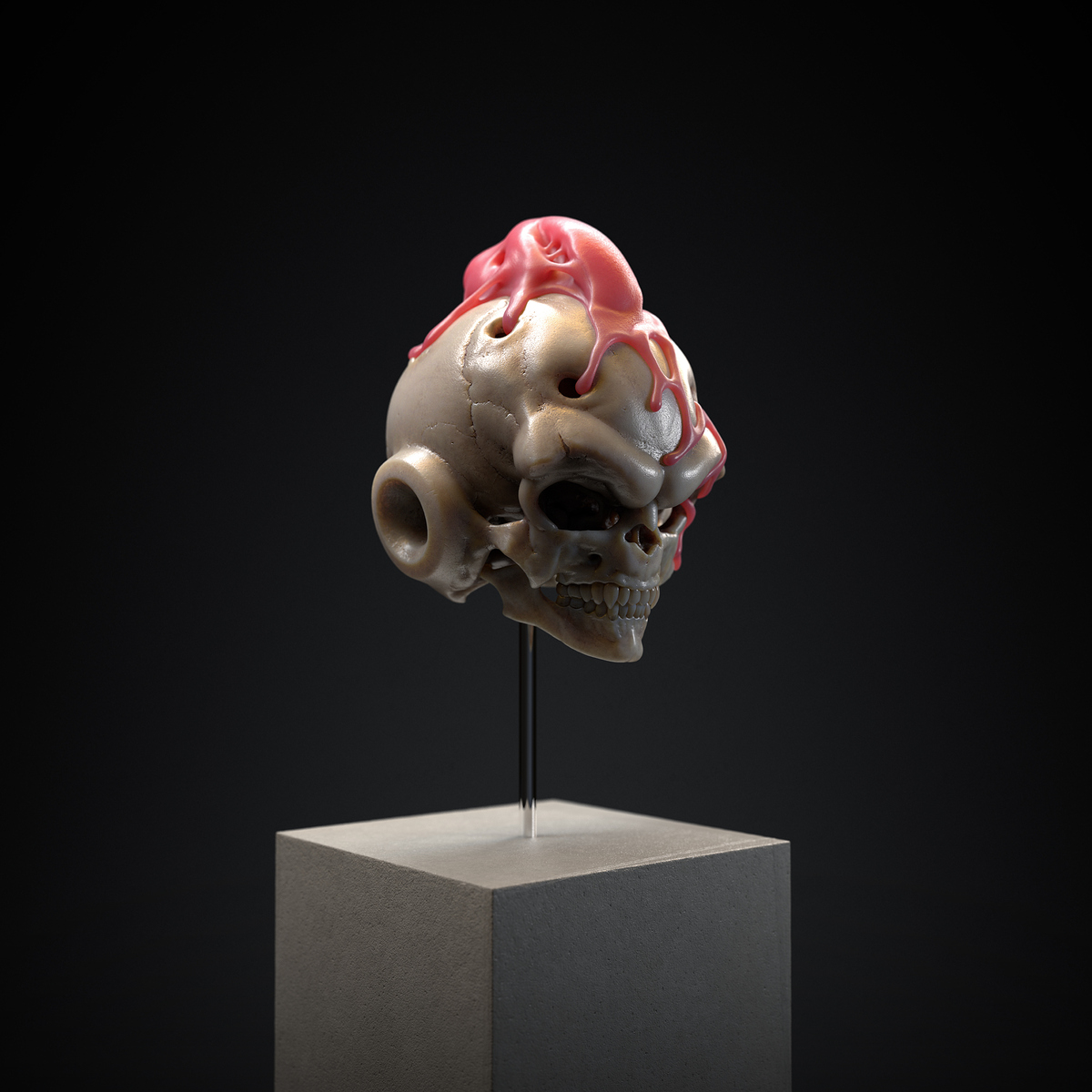 Boo_V1_camera_11