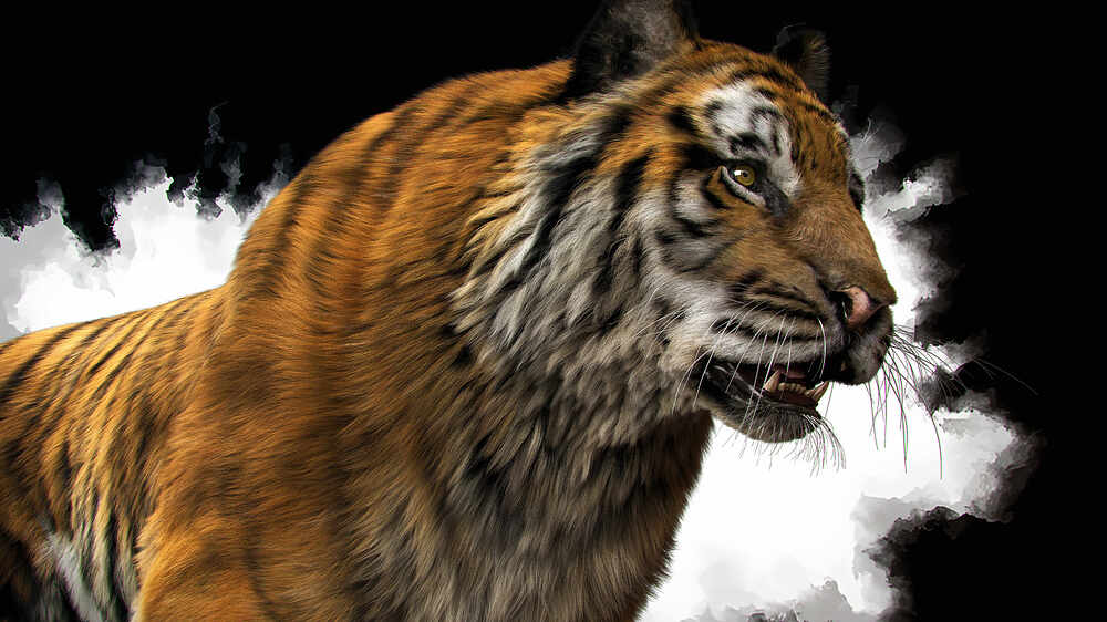 tiger01_PS