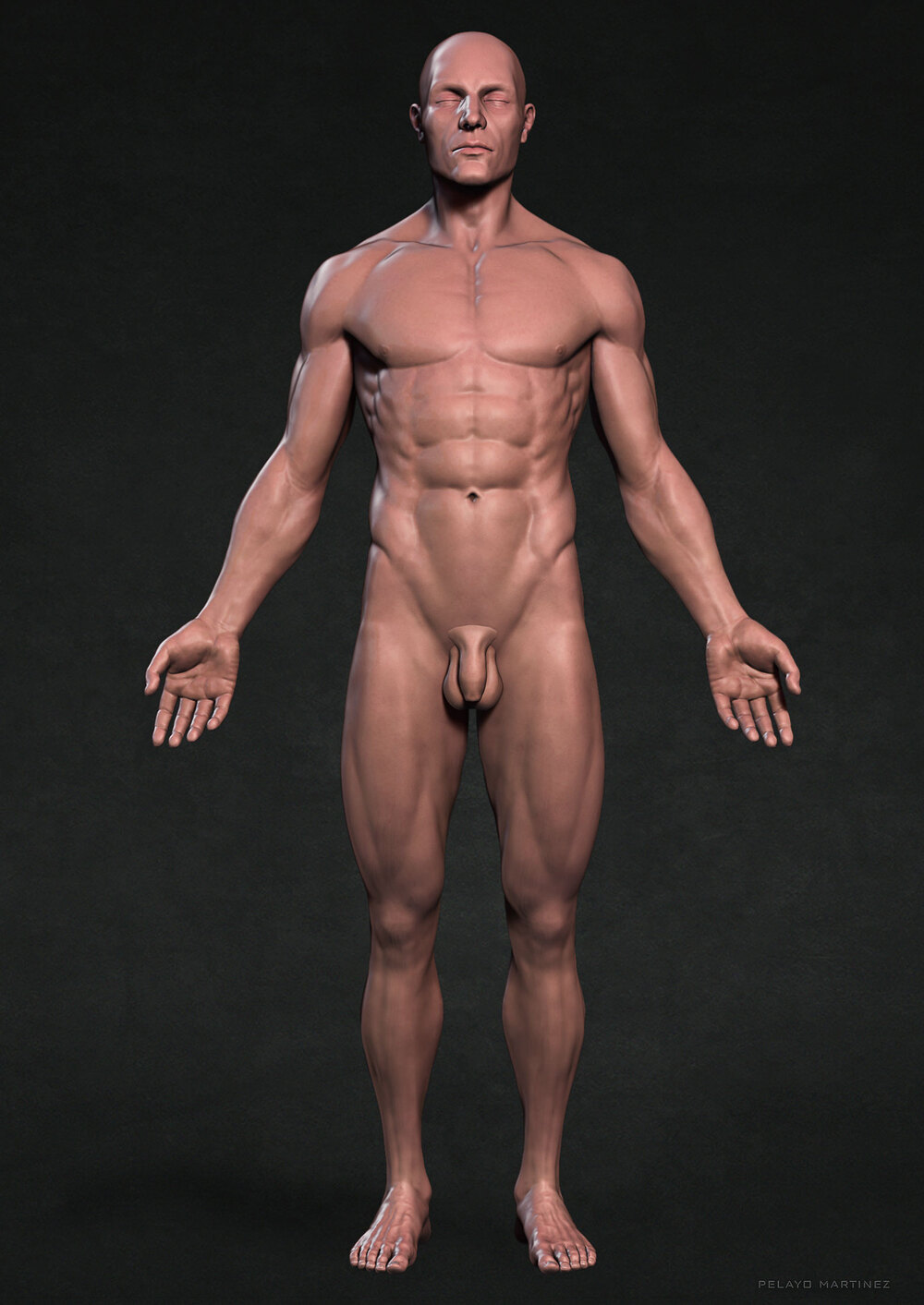 Skin-Front