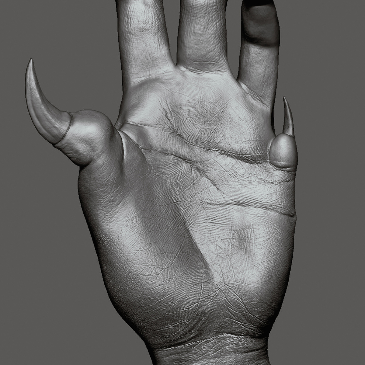 hand_preview_10a