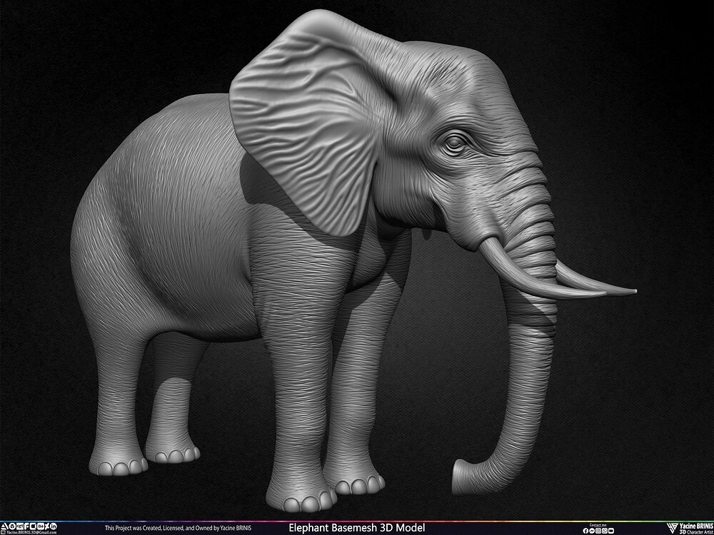 Elephant Basemesh 3D Model Animal Sculpted by Yacine BRINIS Set 004
