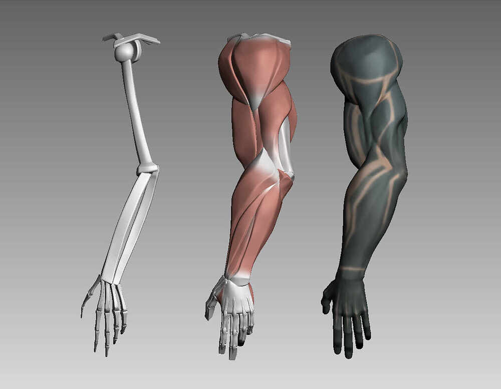 Render5
