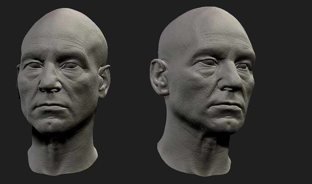 HEAD