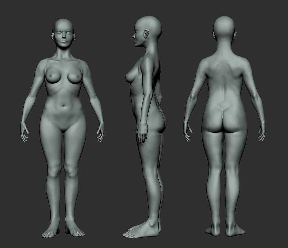 20210824_1230_Female_anatomy (1)
