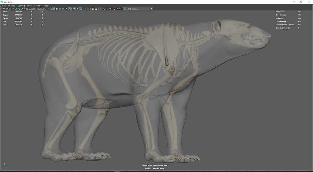 Polar Bear _WIP03-www.h-mortazavi.com