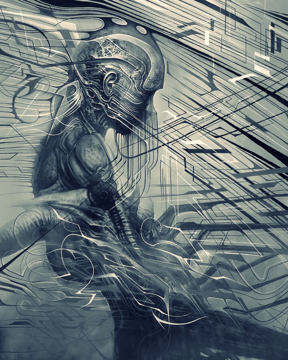 maggotmaid drawshift version