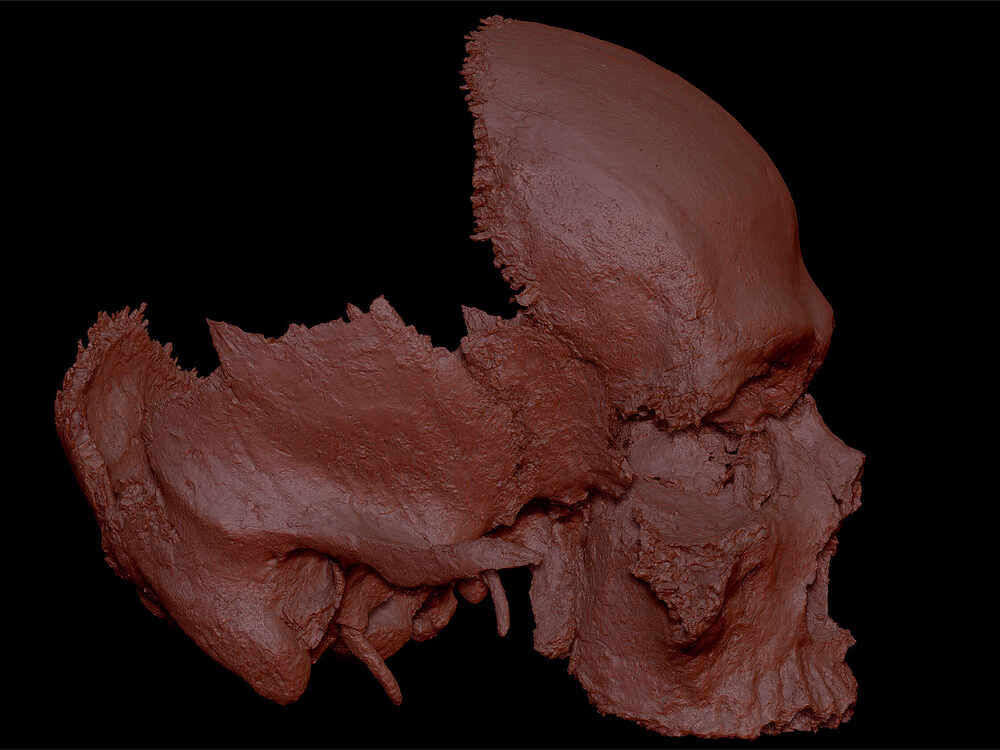 ZBrush-Document8299
