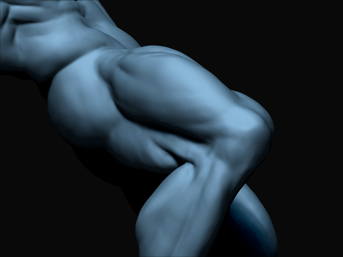 38 Zbrush