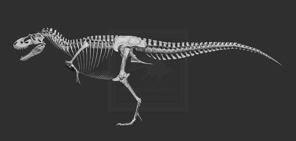 BPR_Composite1