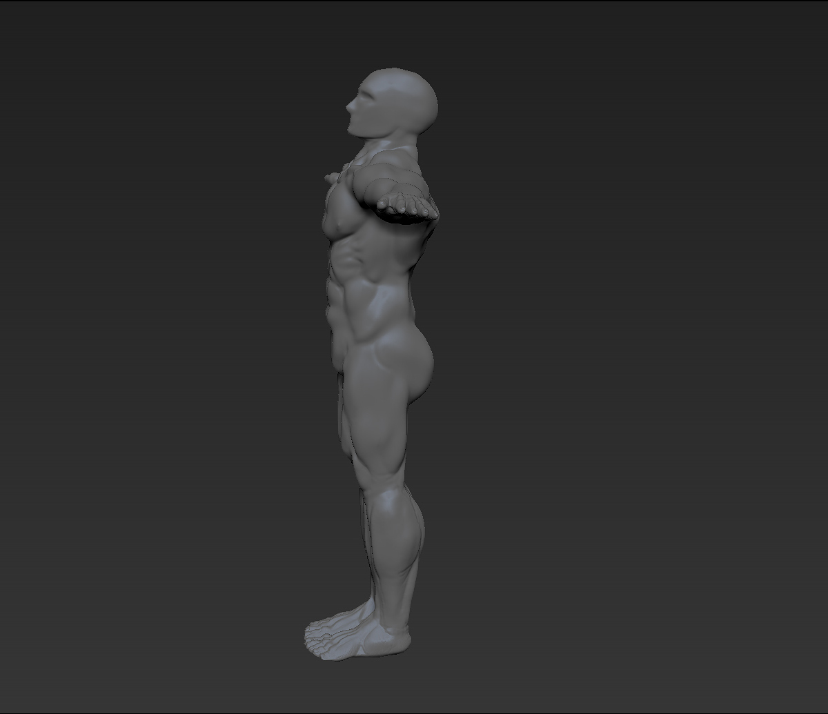 Human-Test-Wip1v2.jpg