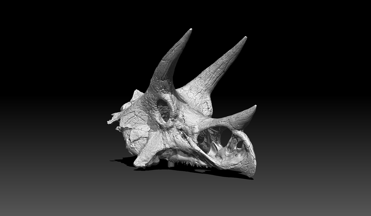 11-Detailing vs Bones WIP_© Javid Jooshesh