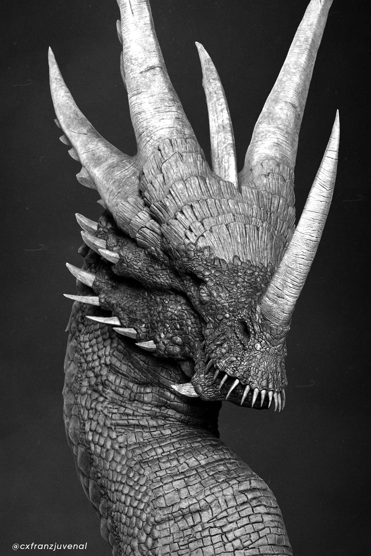 Dragon02_Pass-Close-Up-BW