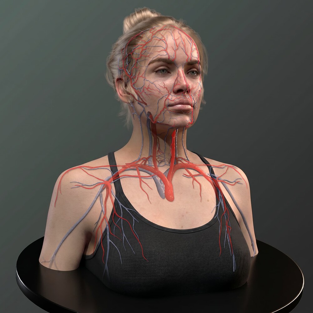 Frontal_07