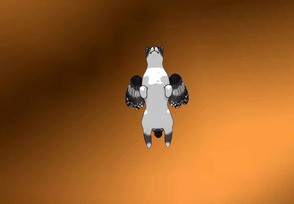 Winged Cat under
