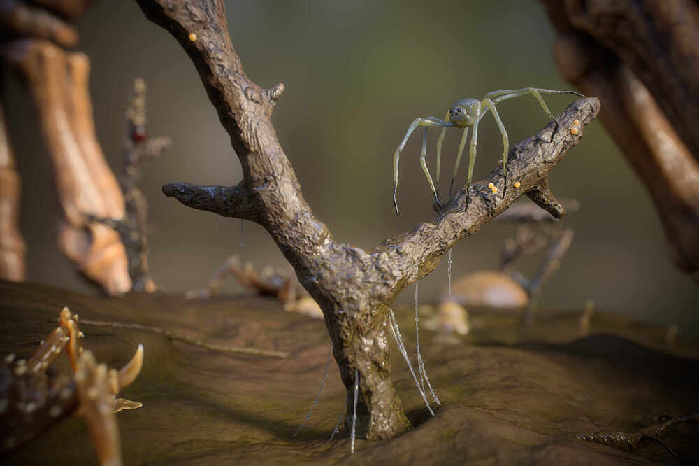 Lizard_Skeleton_14