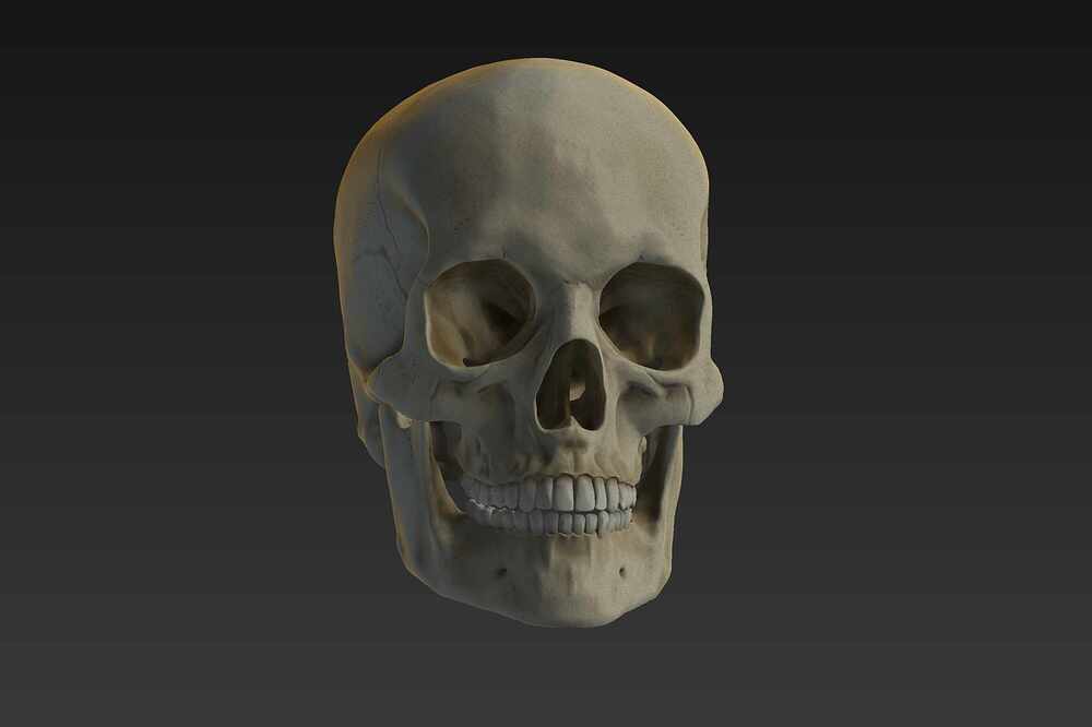 CRANEO_RENDER_ Bruto