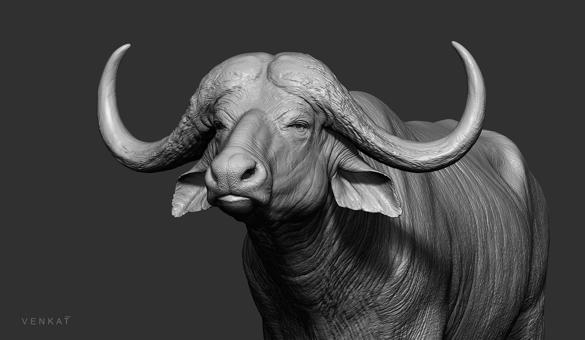 ZBrush Document_08