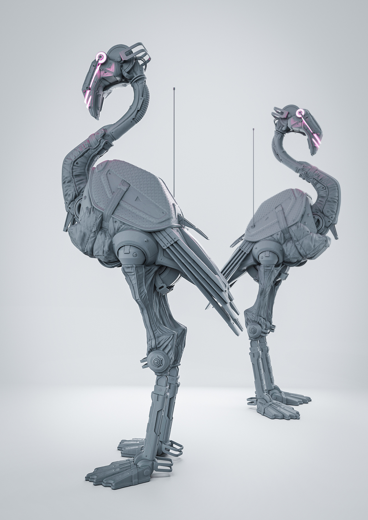 Flamingo_06