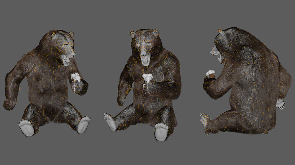 bearOnIce_viewD_kuntalSarkar
