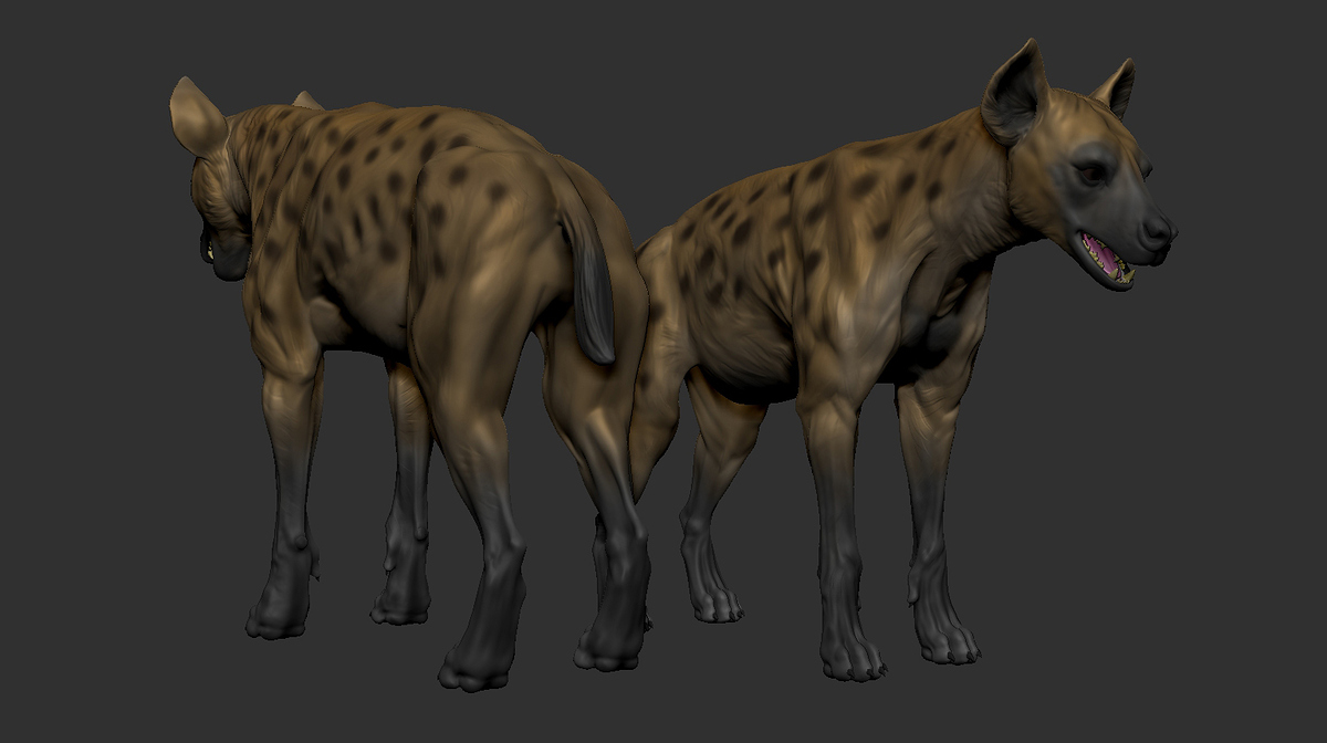 Hyena_02