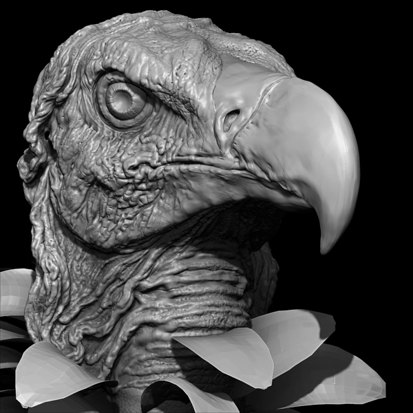 Vulture_Right