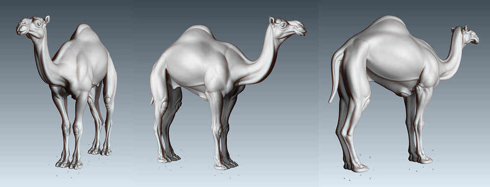 figure_persp_hp_light_side_0305
