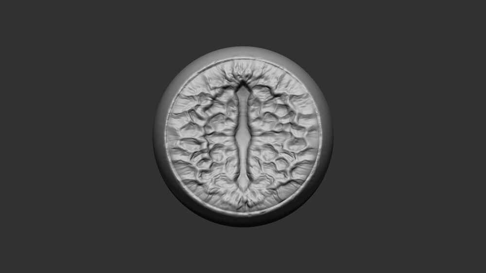 eye_detail
