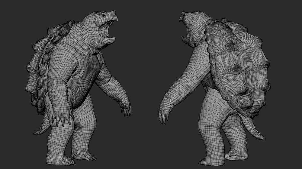 Turtle_edporceli_04