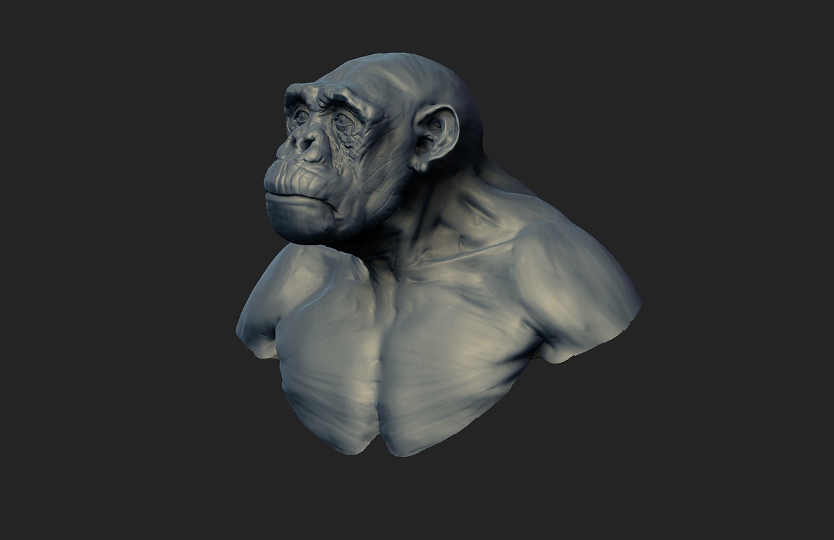 chimp_003b