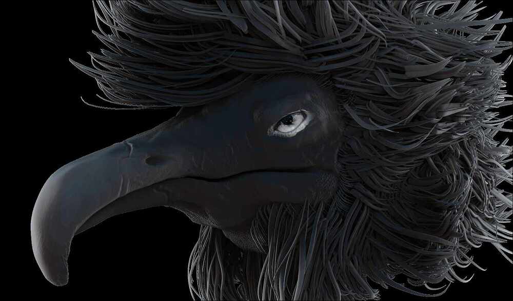 BlackBirb