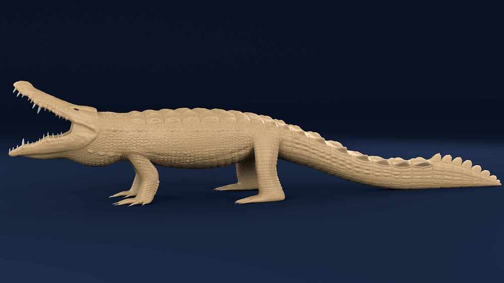 crocodilemaya3