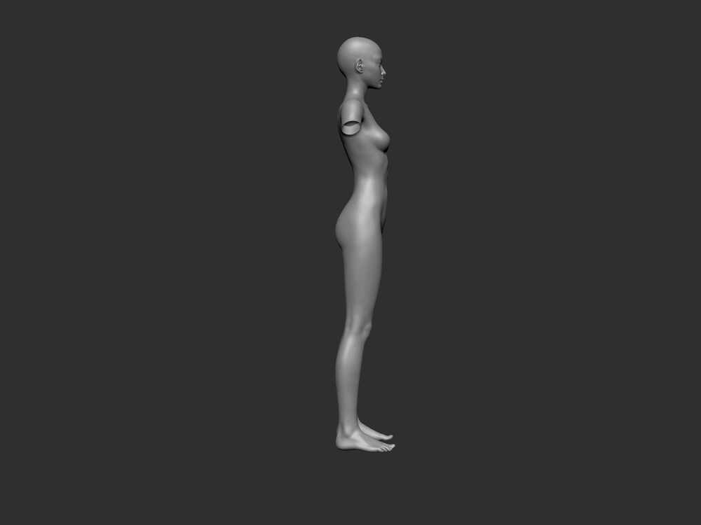 BodySide