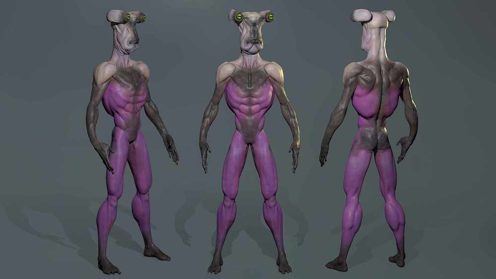 Untitled_Viewport_010