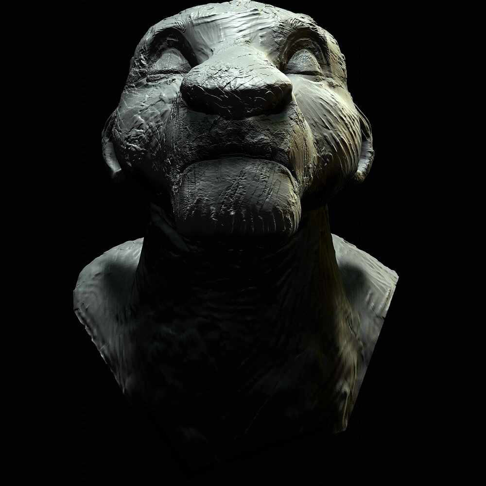 Sarabi_Bpr_002