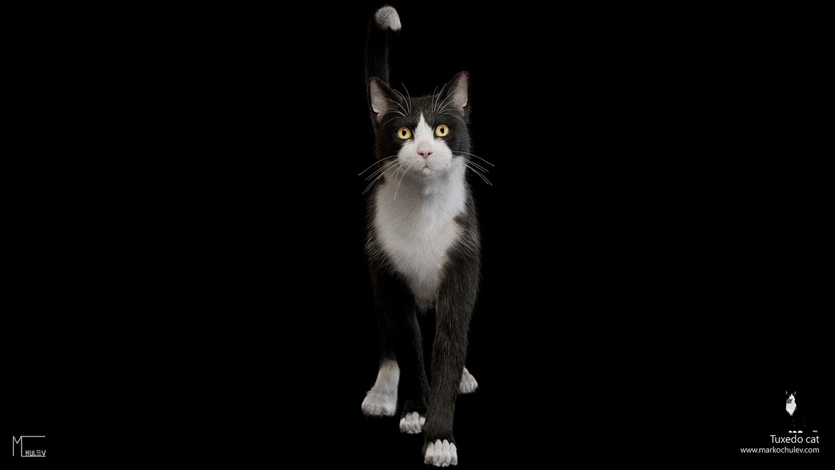 TuxedoCat.v1.8