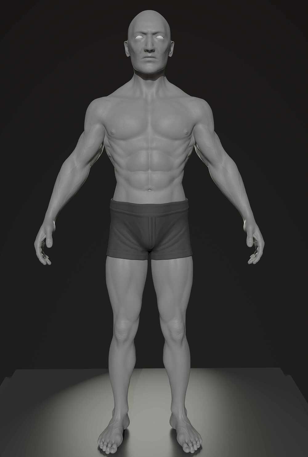 anatomy_1