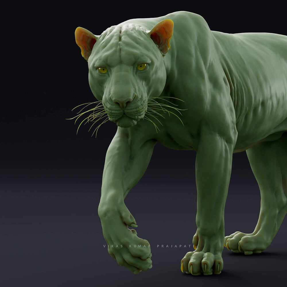 Leopard_1013