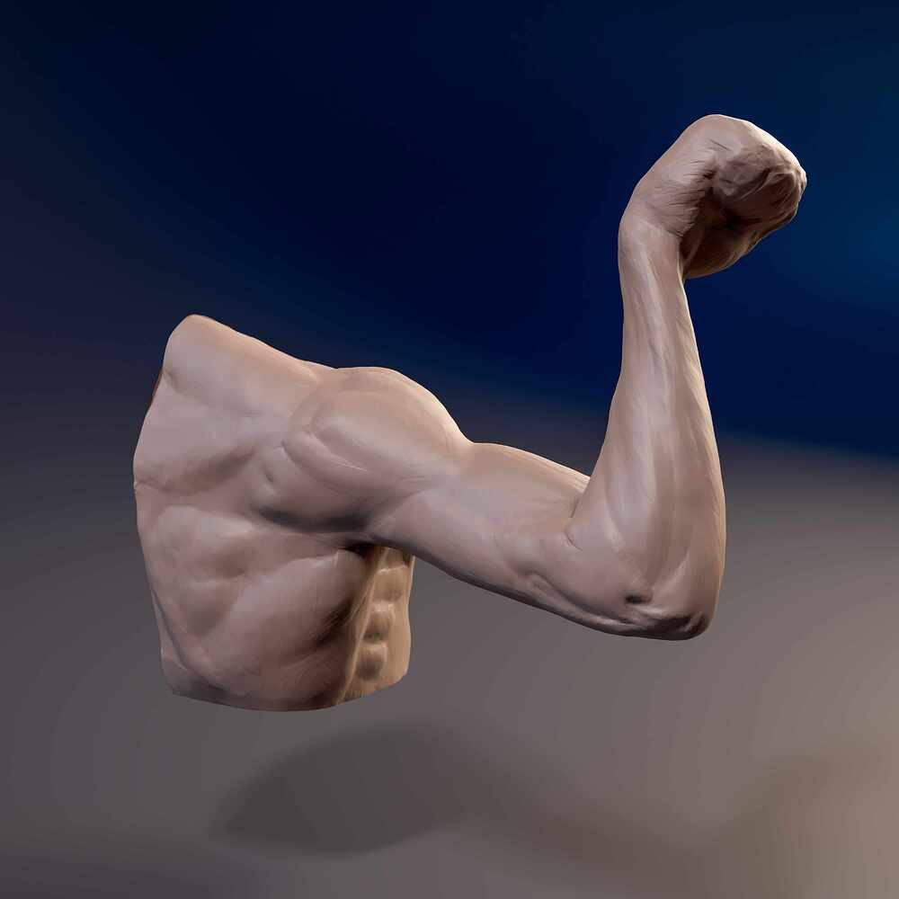 Arm_Pron_02