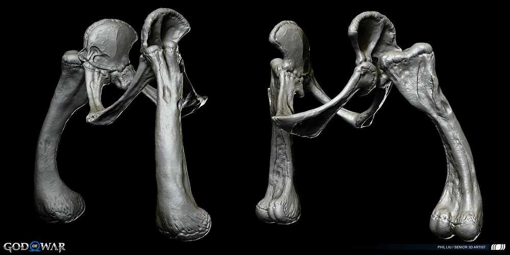 Bone5_Pelvic copy 2