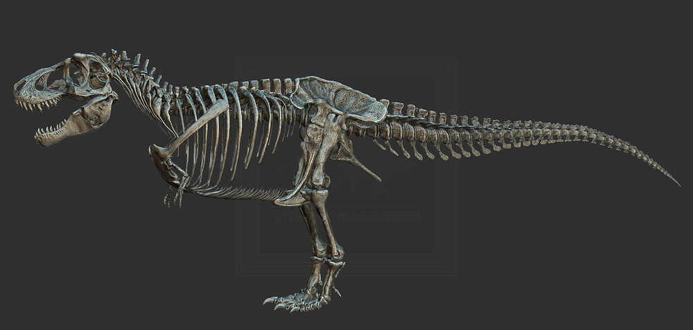 ZBrush Document12