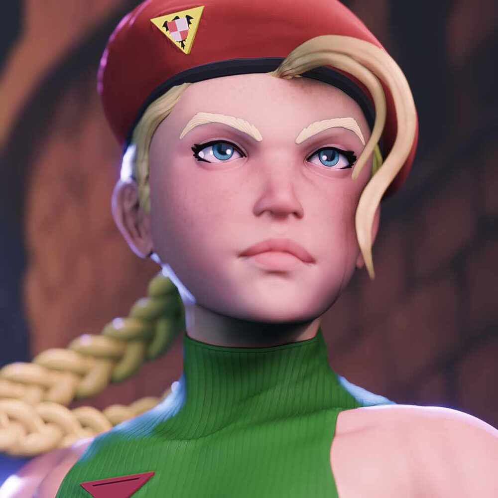 cammy view