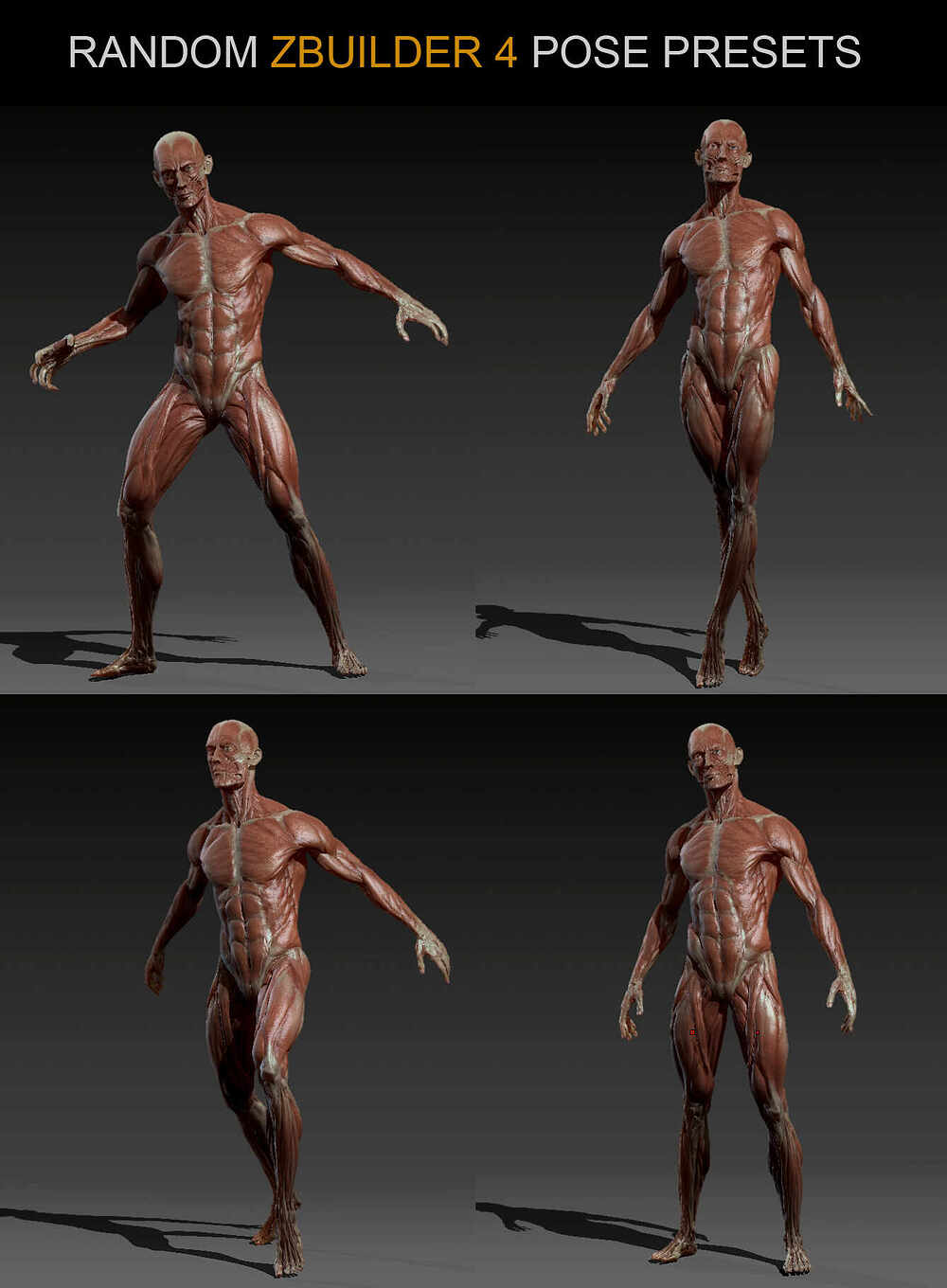 4.Posing