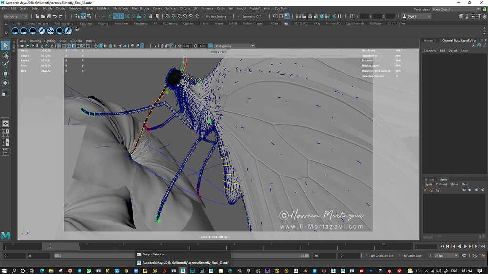Butterfly_WIP09-www.h-mortazavi.com