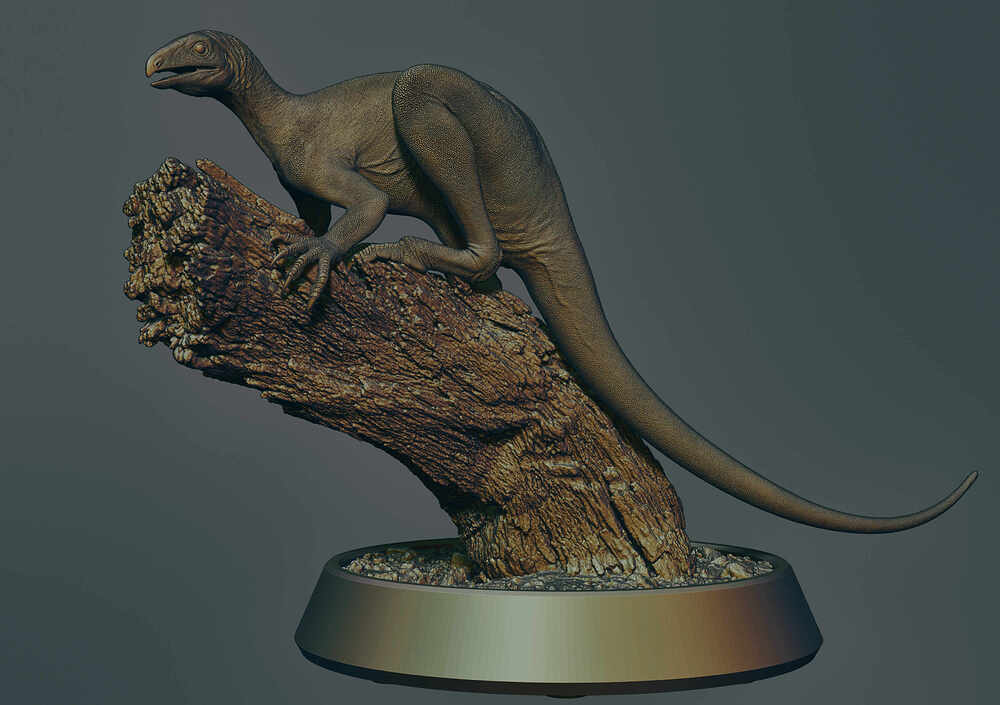 Venetoraptor-gassenae00