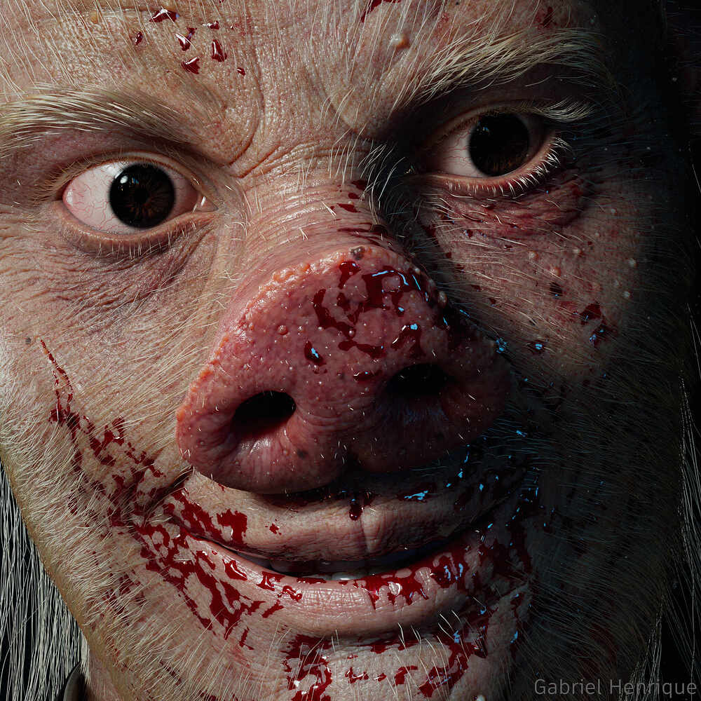 pigarnoldcam2