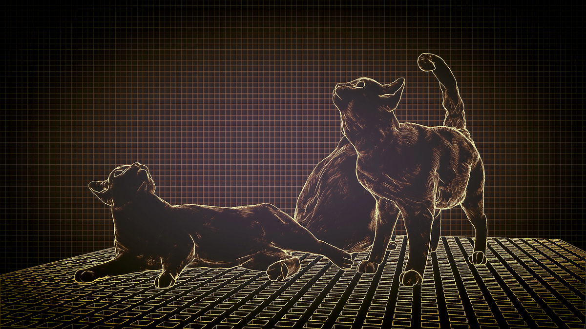 Haviland Tufs CATs byDarya Girina_3